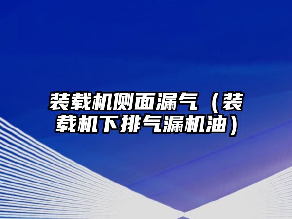 裝載機側面漏氣（裝載機下排氣漏機油）