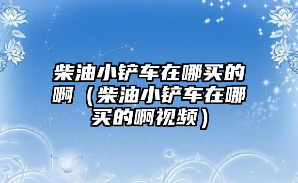 柴油小鏟車在哪買的啊（柴油小鏟車在哪買的啊視頻）