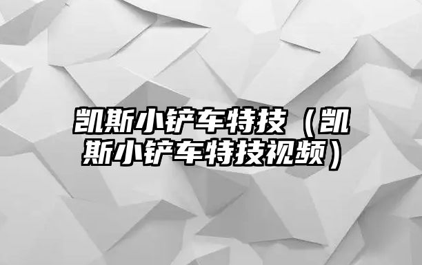 凱斯小鏟車特技（凱斯小鏟車特技視頻）