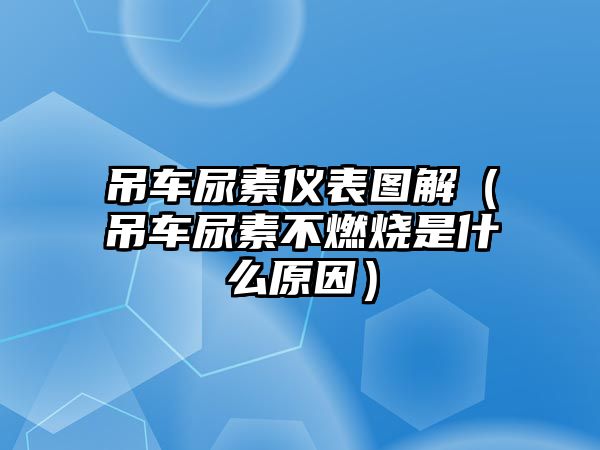 吊車尿素儀表圖解（吊車尿素不燃燒是什么原因）