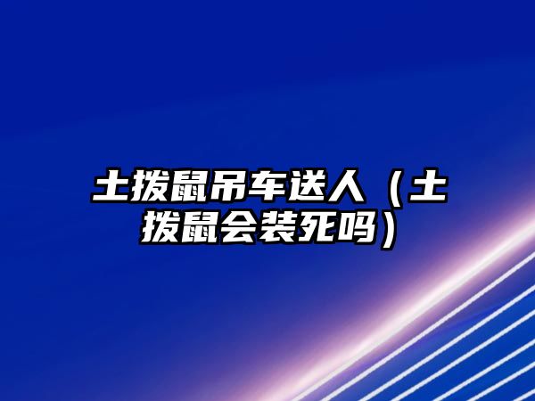 土撥鼠吊車送人（土撥鼠會裝死嗎）