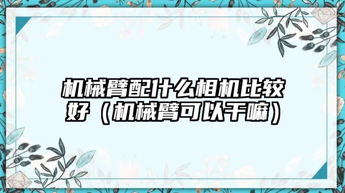 機械臂配什么相機比較好（機械臂可以干嘛）