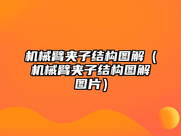 機械臂夾子結構圖解（機械臂夾子結構圖解圖片）