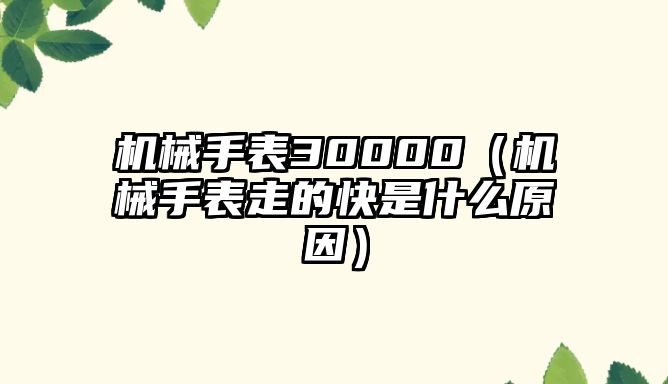 機械手表30000（機械手表走的快是什么原因）