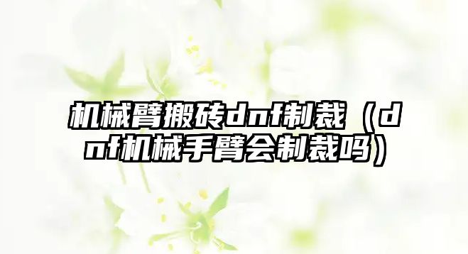 機械臂搬磚dnf制裁（dnf機械手臂會制裁嗎）