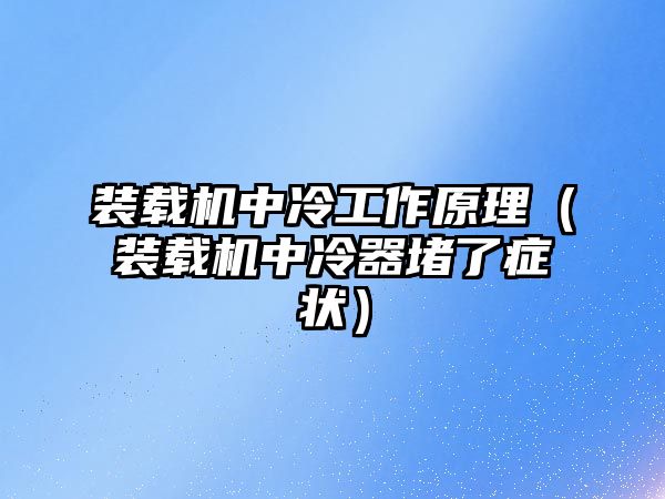 裝載機(jī)中冷工作原理（裝載機(jī)中冷器堵了癥狀）