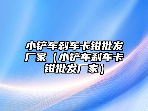 小鏟車剎車卡鉗批發(fā)廠家（小鏟車剎車卡鉗批發(fā)廠家）