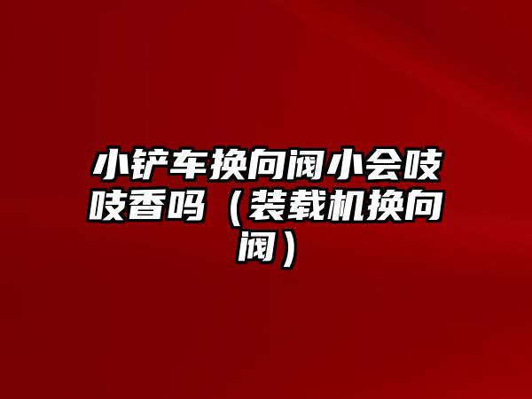 小鏟車換向閥小會(huì)吱吱香嗎（裝載機(jī)換向閥）