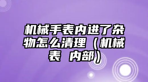 機械手表內進了雜物怎么清理（機械表 內部）