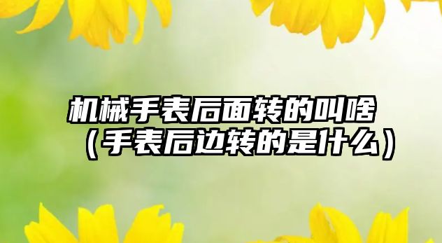 機械手表后面轉的叫啥（手表后邊轉的是什么）