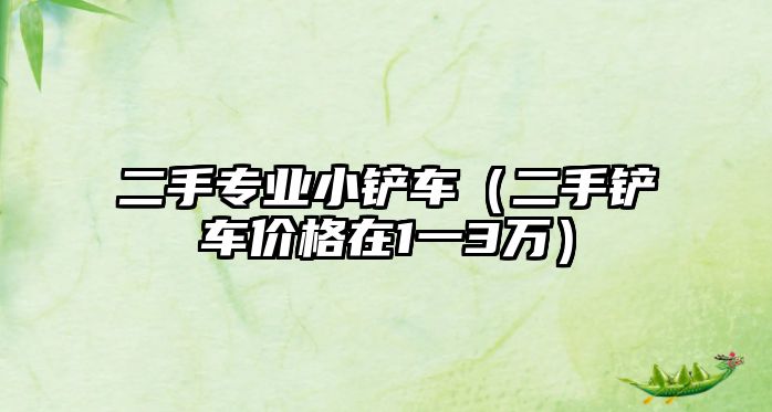 二手專業小鏟車（二手鏟車價格在1一3萬）