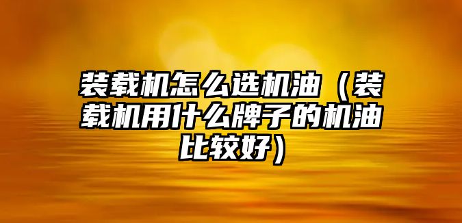 裝載機怎么選機油（裝載機用什么牌子的機油比較好）