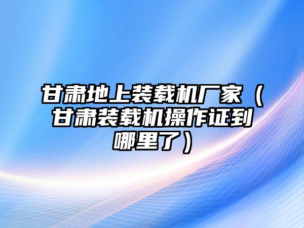 甘肅地上裝載機(jī)廠(chǎng)家（甘肅裝載機(jī)操作證到哪里了）