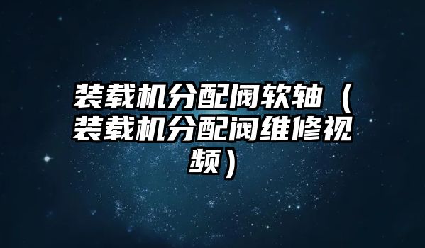 裝載機分配閥軟軸（裝載機分配閥維修視頻）