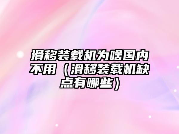 滑移裝載機(jī)為啥國內(nèi)不用（滑移裝載機(jī)缺點(diǎn)有哪些）