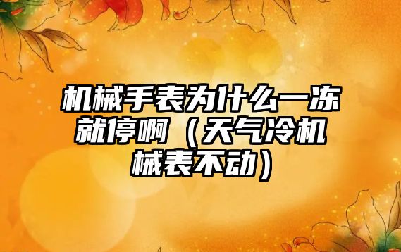 機械手表為什么一凍就停啊（天氣冷機械表不動）