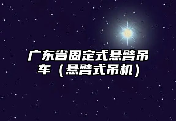 廣東省固定式懸臂吊車（懸臂式吊機）