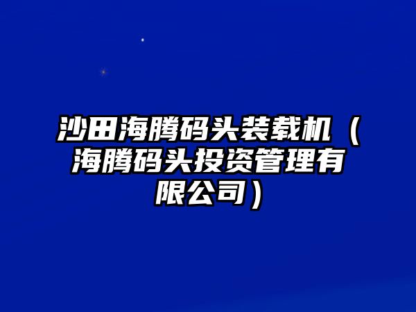 沙田海騰碼頭裝載機（海騰碼頭投資管理有限公司）