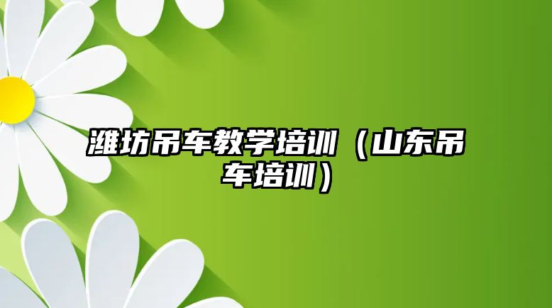 濰坊吊車教學培訓（山東吊車培訓）