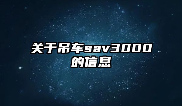 關于吊車sav3000的信息