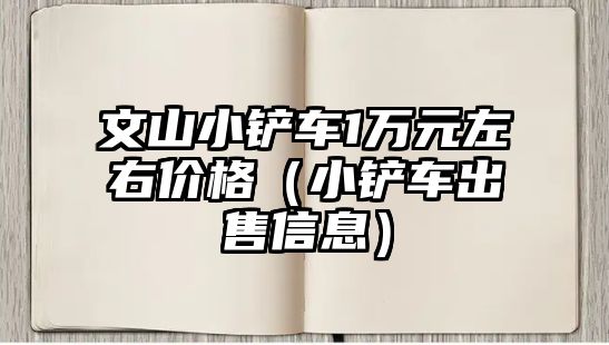 文山小鏟車1萬元左右價格（小鏟車出售信息）