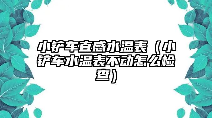 小鏟車直感水溫表（小鏟車水溫表不動怎么檢查）