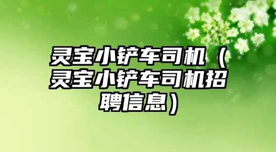 靈寶小鏟車司機（靈寶小鏟車司機招聘信息）