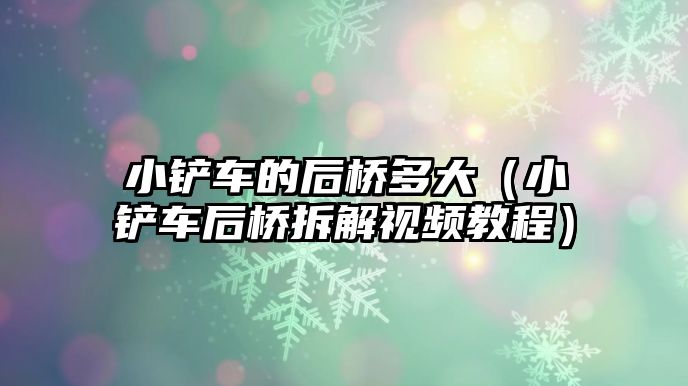 小鏟車的后橋多大（小鏟車后橋拆解視頻教程）