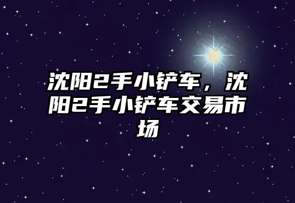 沈陽2手小鏟車，沈陽2手小鏟車交易市場