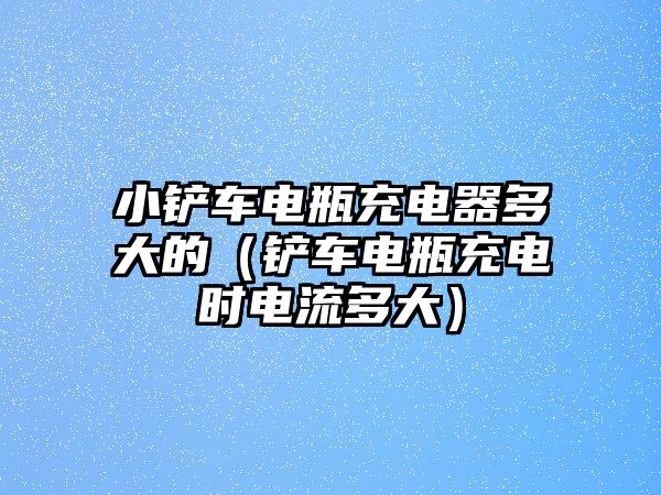 小鏟車電瓶充電器多大的（鏟車電瓶充電時電流多大）