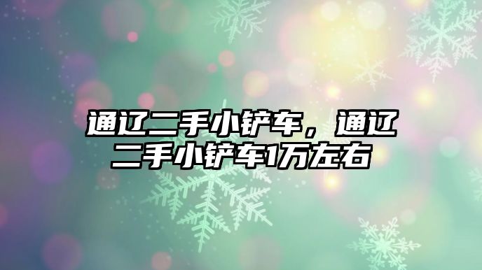 通遼二手小鏟車，通遼二手小鏟車1萬左右