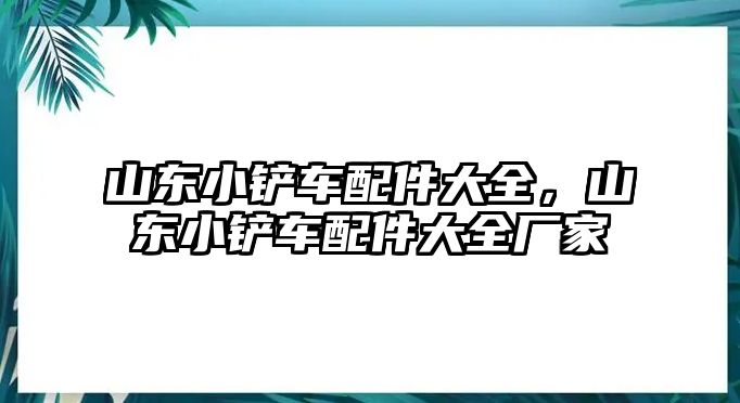 山東小鏟車(chē)配件大全，山東小鏟車(chē)配件大全廠(chǎng)家