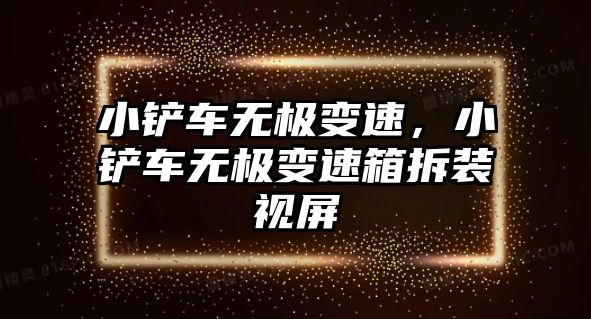 小鏟車無極變速，小鏟車無極變速箱拆裝視屏