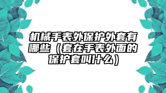 機械手表外保護外套有哪些（套在手表外面的保護套叫什么）