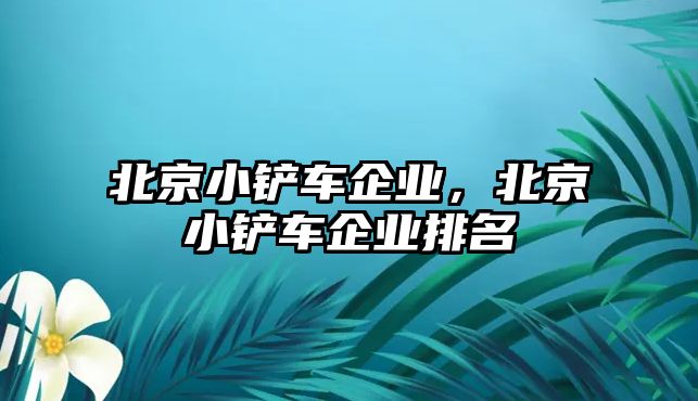 北京小鏟車企業，北京小鏟車企業排名