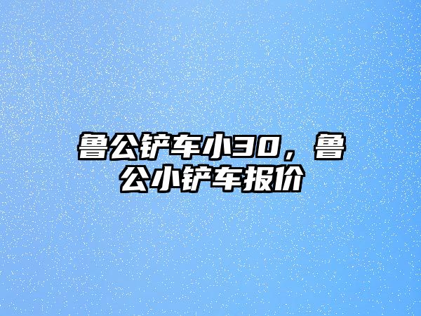 魯公鏟車小30，魯公小鏟車報價