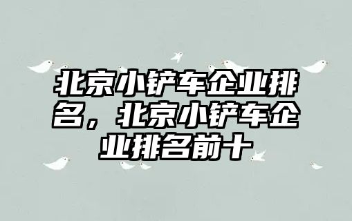 北京小鏟車企業(yè)排名，北京小鏟車企業(yè)排名前十