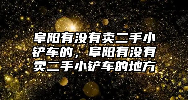 阜陽有沒有賣二手小鏟車的，阜陽有沒有賣二手小鏟車的地方