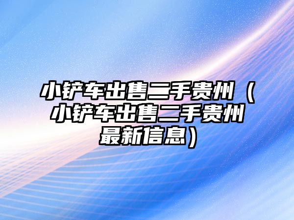 小鏟車出售二手貴州（小鏟車出售二手貴州最新信息）