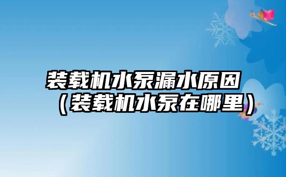 裝載機水泵漏水原因（裝載機水泵在哪里）