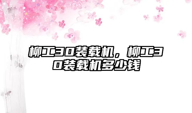 柳工30裝載機，柳工30裝載機多少錢