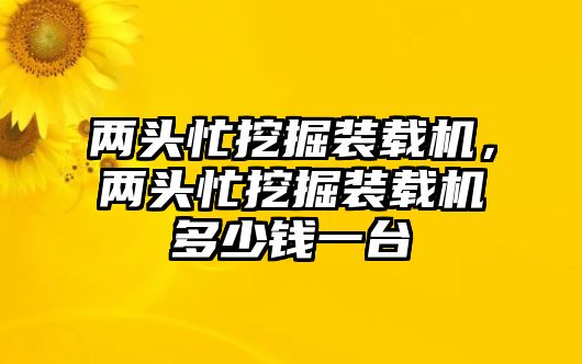 兩頭忙挖掘裝載機，兩頭忙挖掘裝載機多少錢一臺