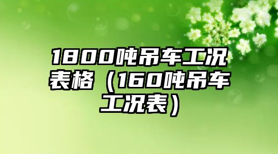 1800噸吊車工況表格（160噸吊車工況表）