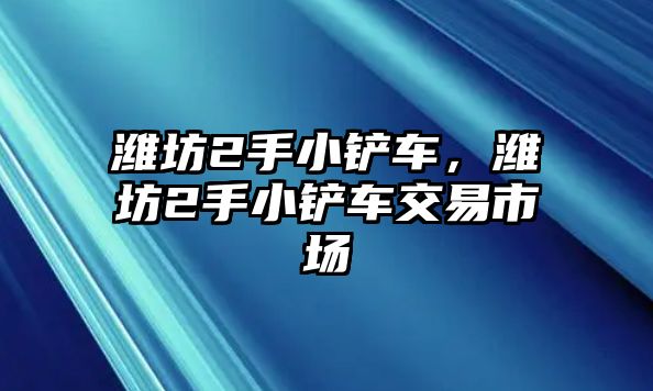 濰坊2手小鏟車，濰坊2手小鏟車交易市場