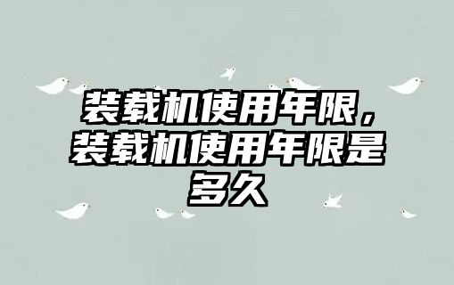 裝載機(jī)使用年限，裝載機(jī)使用年限是多久