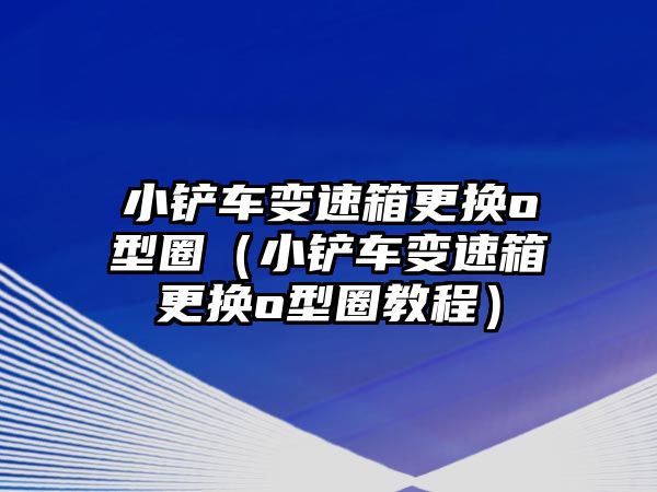 小鏟車變速箱更換o型圈（小鏟車變速箱更換o型圈教程）