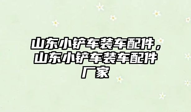 山東小鏟車裝車配件，山東小鏟車裝車配件廠家