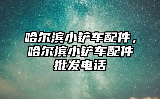 哈爾濱小鏟車配件，哈爾濱小鏟車配件批發電話