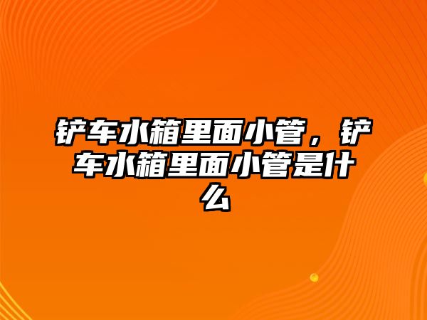 鏟車水箱里面小管，鏟車水箱里面小管是什么