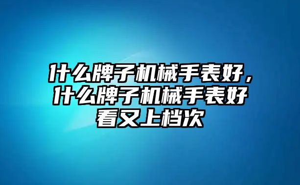 什么牌子機械手表好，什么牌子機械手表好看又上檔次